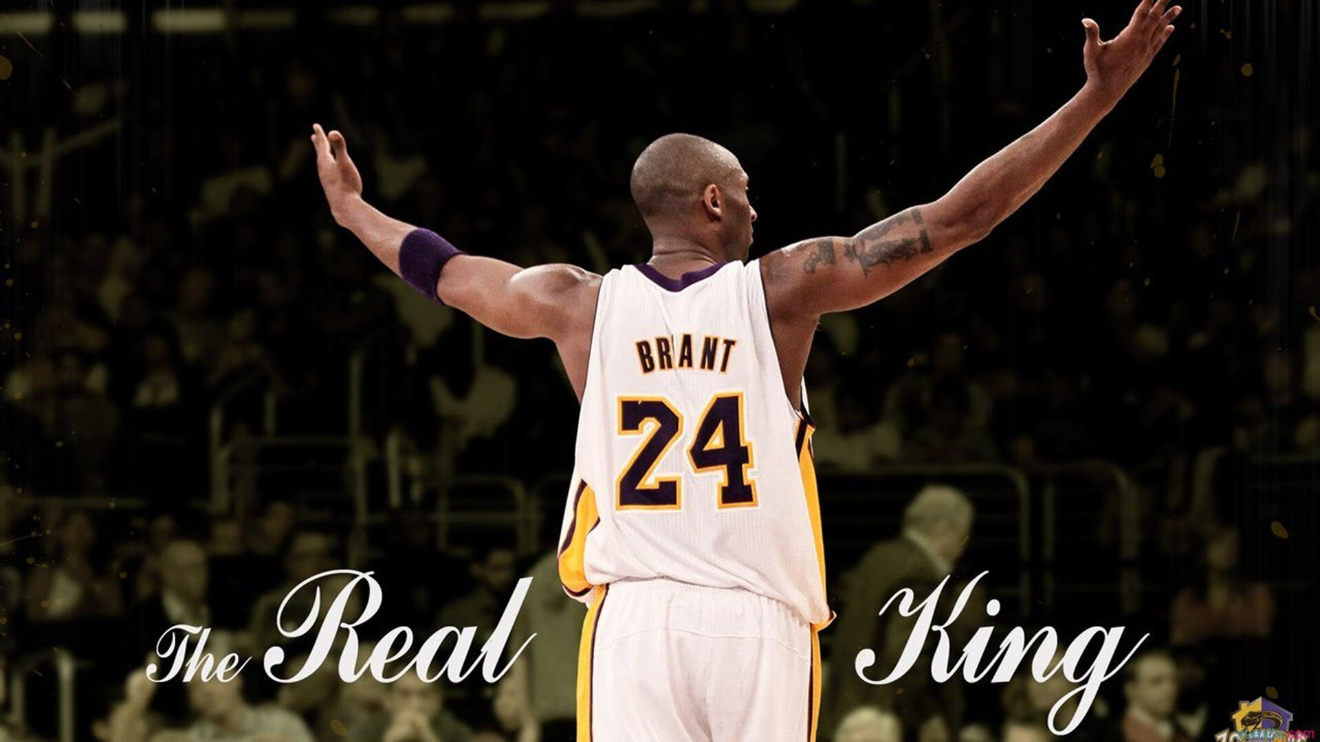 英雄联盟“新星崛起”青少年赛激烈角逐中，英雄联盟新星计划